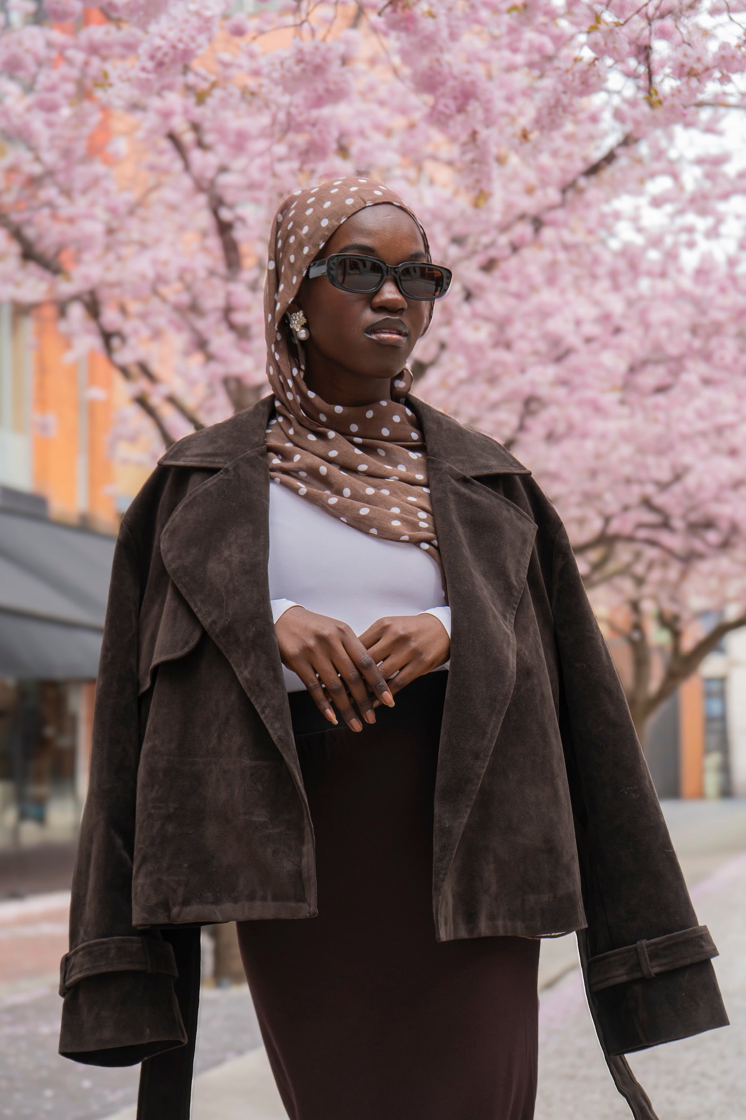 Dottie in Brown (Brown and White)