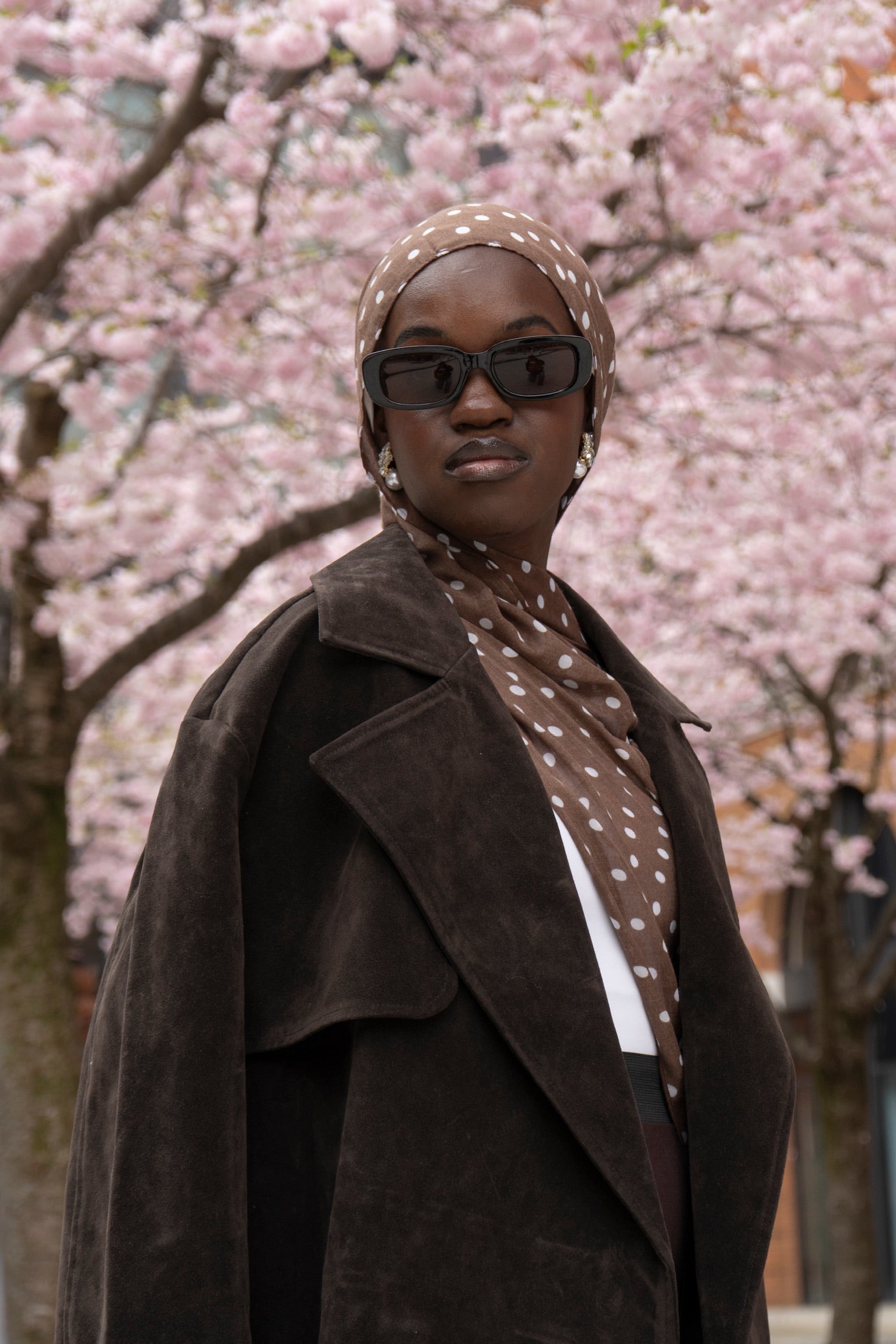 Dottie in Brown (Brown and White)