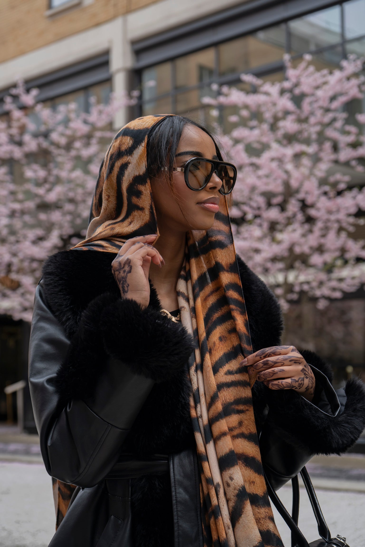 Tiger (Tigress)