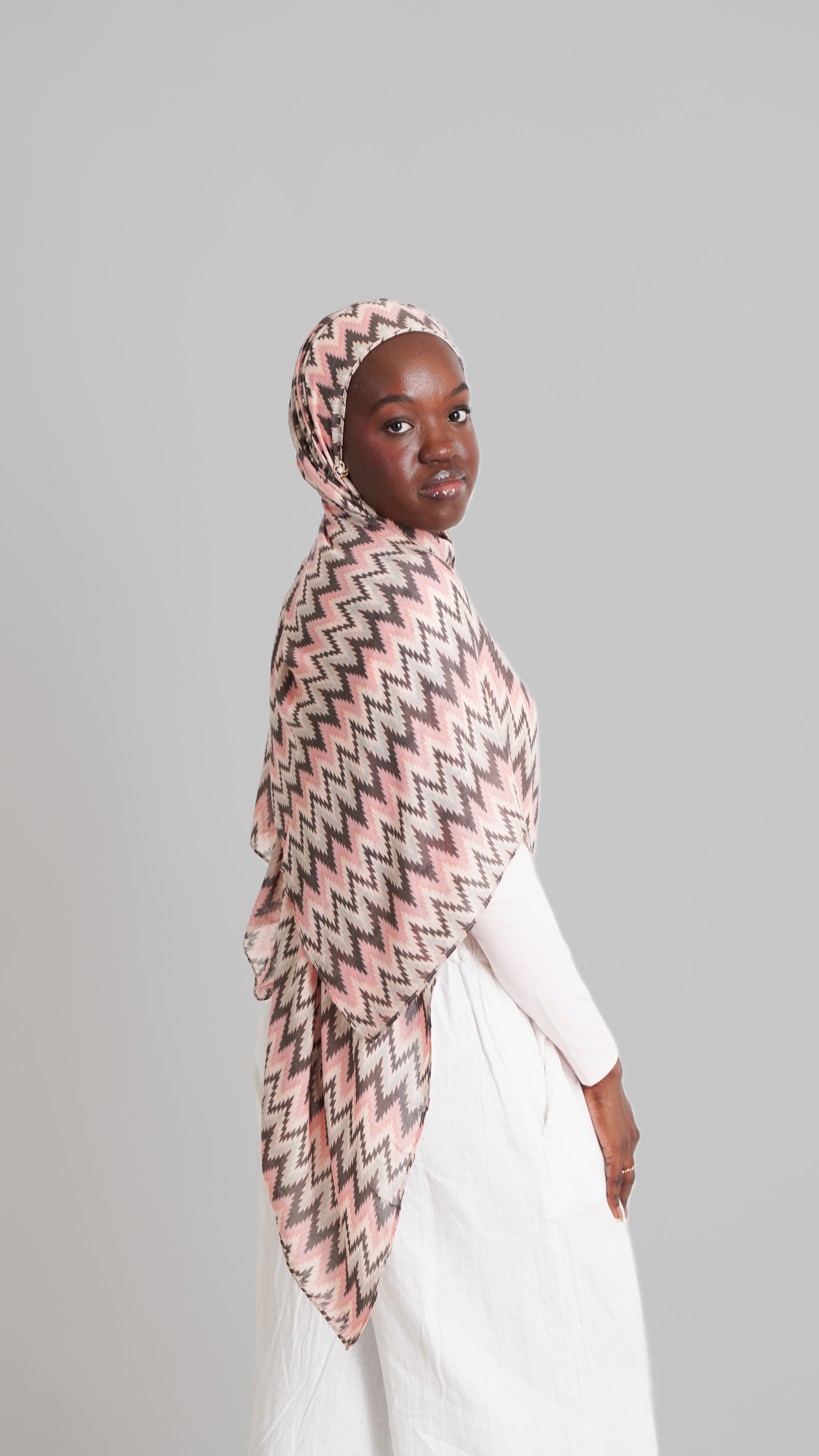Chevron in mocha blush